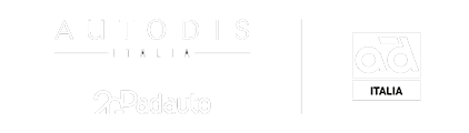 Featured image: Gruppo Autodis (Autodistribution), OVAM, Ricauto e Top Car