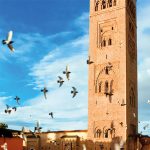 Incentive Marrakech 2022: shukran!